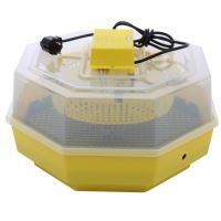 Incubatoare oua