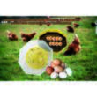 Incubator electric oua (clocitoare) Cleo 5, 230 V, 60 oua capacitate, 38°C temperatura incubare