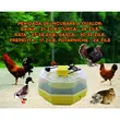 Incubator electric oua (clocitoare) cu dispozitiv de intoarcere si termometru Cleo 5DT, 230 V, 41 oua capacitate, 38°C temperatura incubare