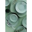Serviciu de masa FORZA, 24 piese, 6 persoane, portelan, verde, kutahya porselen